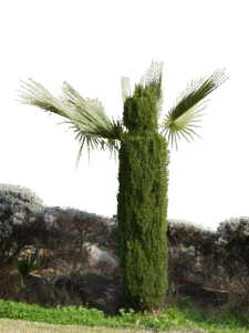 diegluecks.at - Körperübungen